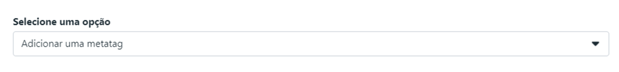 sacolinha do instagram09.png