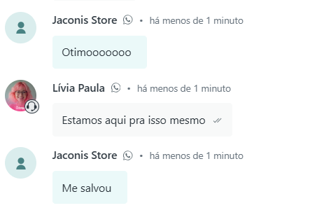 Captura de tela 2025-02-13 121417.png
